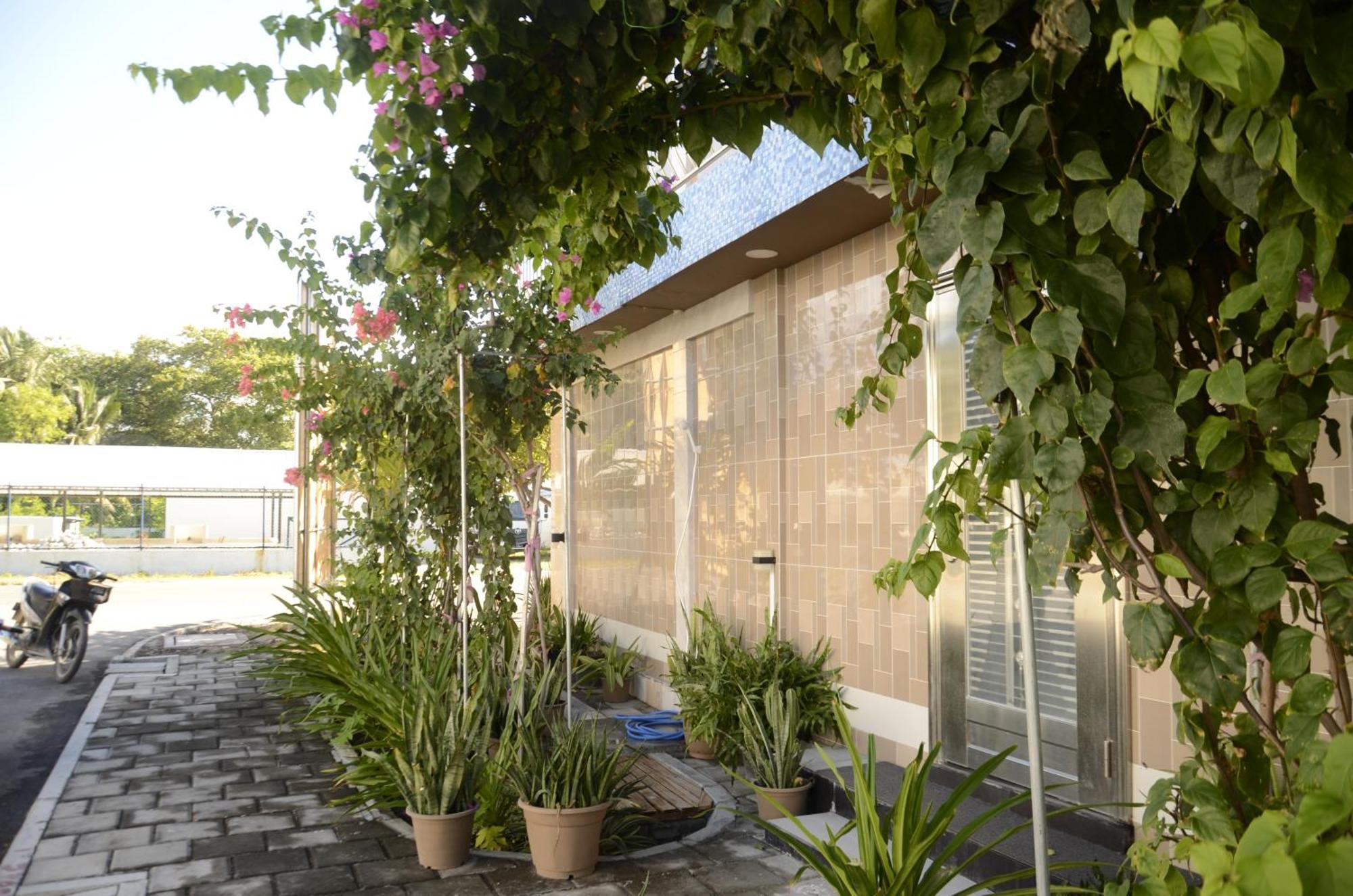 Isle Inn Guesthouse Fuvahmulah ภายนอก รูปภาพ